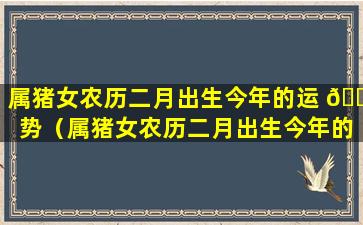 属猪女农历二月出生今年的运 💐 势（属猪女农历二月出生今年的运势怎么样）